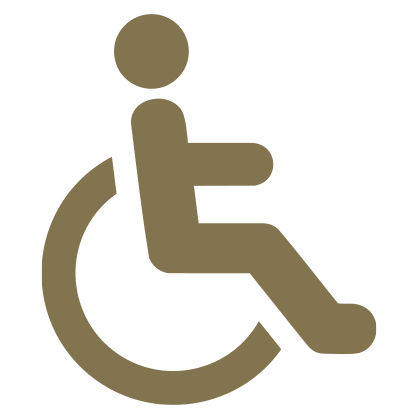 Camera Disabili